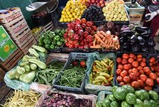 El promedio del precio de las principales verduras y hortalizas consumidas por los argentinos tuvo una baja en el mes de noviembre. Foto: ALF PONCE MERCADO / MDZ