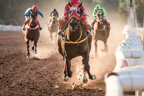 El Hipódromo de Mendoza es una referencia para la provincia. Foto: Foto gentileza José Maluf El Hipódromo de Mendoza es una referencia para la provincia. Foto: Foto gentileza José Maluf