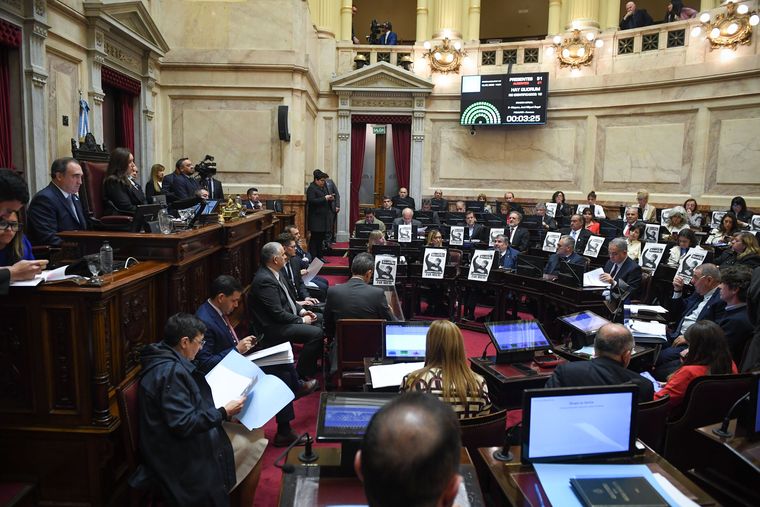 El Senado se convirtió en una arena de batalla para el Gobierno ante la avanzada de la oposición con una batería de proyectos que el oficialismo rechaza por 