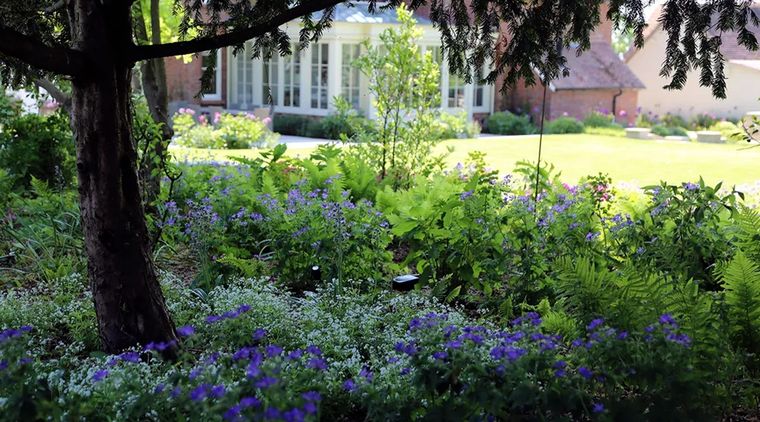 Crédito de la imagen: Diseño de jardín de Rosemary Coldstream. Foto: homesandgardens.com/