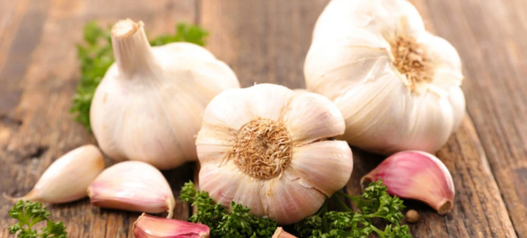 Los ajos no solo tienen beneficios para la salud, también son los aliados de nuestras plantas Foto: Shutterstock Los ajos no solo tienen beneficios para la salud, también son los aliados de nuestras plantas Foto: Shutterstock