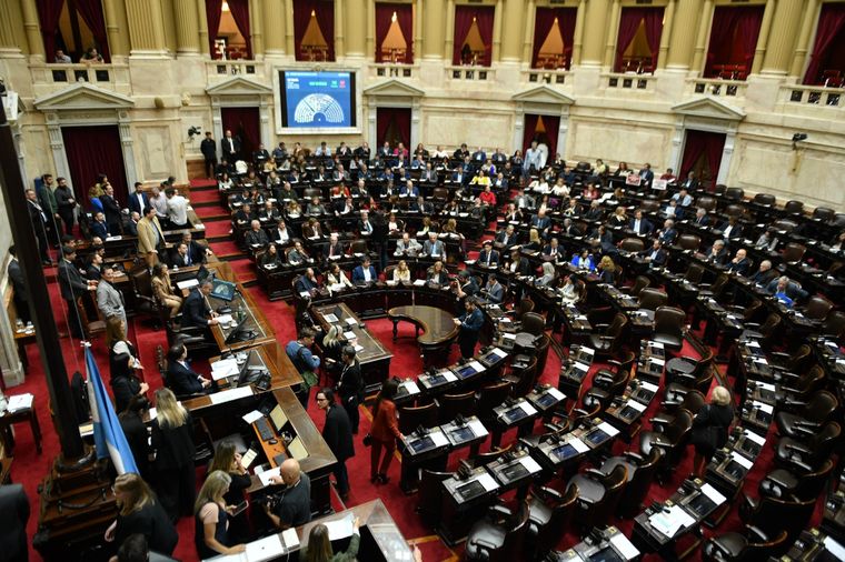 Expectativa por lo que pueda ocurrir en el Senado de la Nación Foto: Archivo