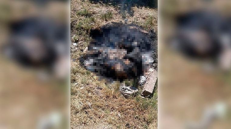 El cuerpo fue grabado por los vecinos
