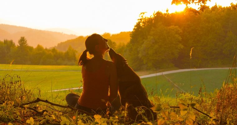 Los lamidos de tu perro no siempre significan amor y cariño. Foto: Shutterstock Los lamidos de tu perro no siempre significan amor y cariño. Foto: Shutterstock
