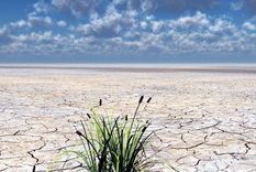 El cambio climático sigue haciendo de las suyas. Foto: EFE.