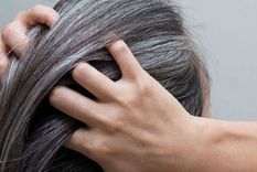 Efectivo y duradero: matiza tus canas  con un Shampoo  morado y luce fabulosa Efectivo y duradero: matiza tus canas  con un shampoo  morado y luce fabulosa.