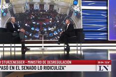 Federico Sturzenegger se refirió a la votación en el Senado. Federico Sturzenegger se refirió a la votación en el Senado.