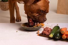 3 alimentos mortales para tu perro: no los debería comer nunca Algunos alimentos son muy buenos para nosotros, pero malos para nuestras mascotas. Foto: Freepik
