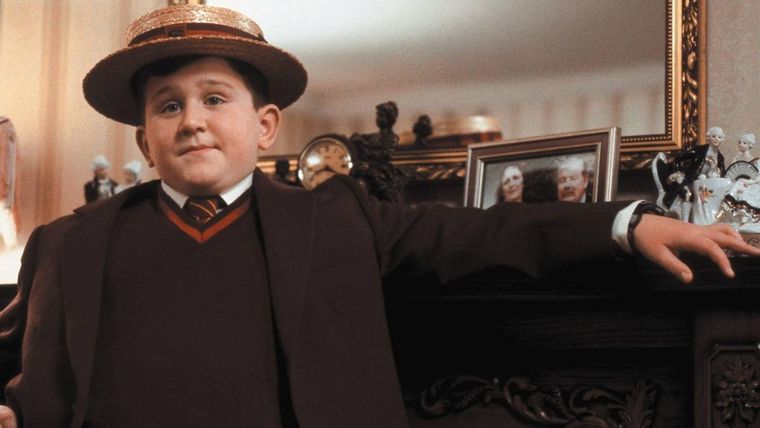 Harry Melling, Harry Potter, Redes Sociales