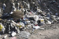 Imagen ilustrativa Foto: Rodrigo DAngelo / MDZ Imagen ilustrativa Foto: Rodrigo DAngelo / MDZ