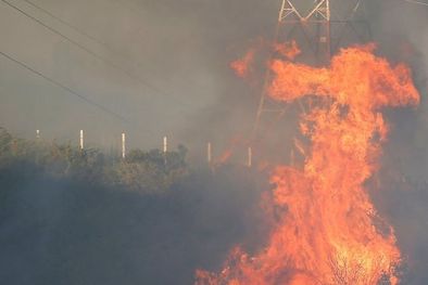 MDZol | El incendio comenzó en la tarde. Foto: REUTERS