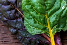 La gama de colores que presenta la acelga realmente puede alegrar cualquier espacio de cultivo. Foto: pexels.com