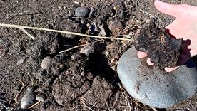 El agua contaminada que denunció la inspectora que ahora es candidata en Maipú. El agua contaminada que denunció la inspectora que ahora es candidata en Maipú.
