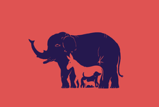 test de personalidad