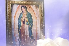 RATING. La Rosa de Guadalupe