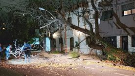 Vecinos siguen reportando incidentes en distintas zonas de Mendoza. Vecinos siguen reportando incidentes en distintas zonas de Mendoza.