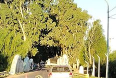 Un motociclista murió tras chocar con un auto y un camión en Lavalle Foto: Ministerio de Seguridad de Mendoza