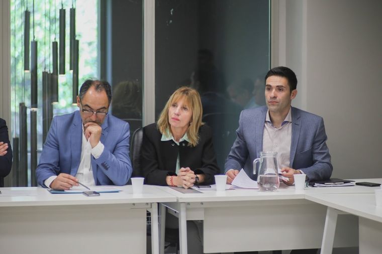 Mariana Caroglio fue senadora hasta el año 2019.