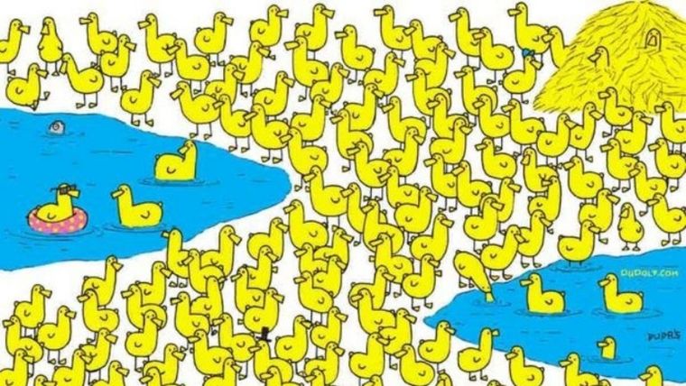 Acertijo visual, reto visual, pollito Pinterest Foto: Archivo MDZ