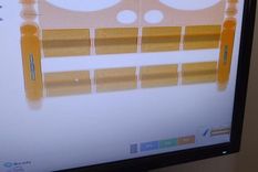 La Aduana en Jujuy halló un millonario cargamento en nueve encomiendas de mesas de luz y camas que ingresaron al país desde Bolivia. Foto: Aduana Argentina