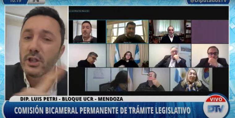 El diputado Luis Petri.