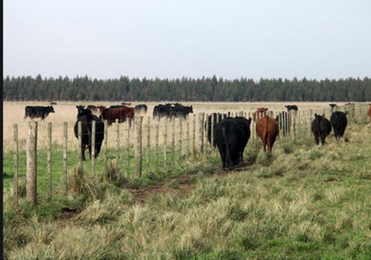 Los representantes del campo quieren estímulos para el sector agropecuario.