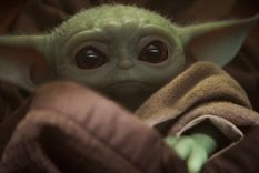 Aunque en la serie se llama The Child (el Niño), en internet ha sido bautizado como Baby Yoda.