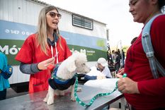 Se puede pedir turnos, para perros y gatos, tanto en el Móvil Veterinario, como en el Centro Veterinario Fijo en el barrio La Favorita.