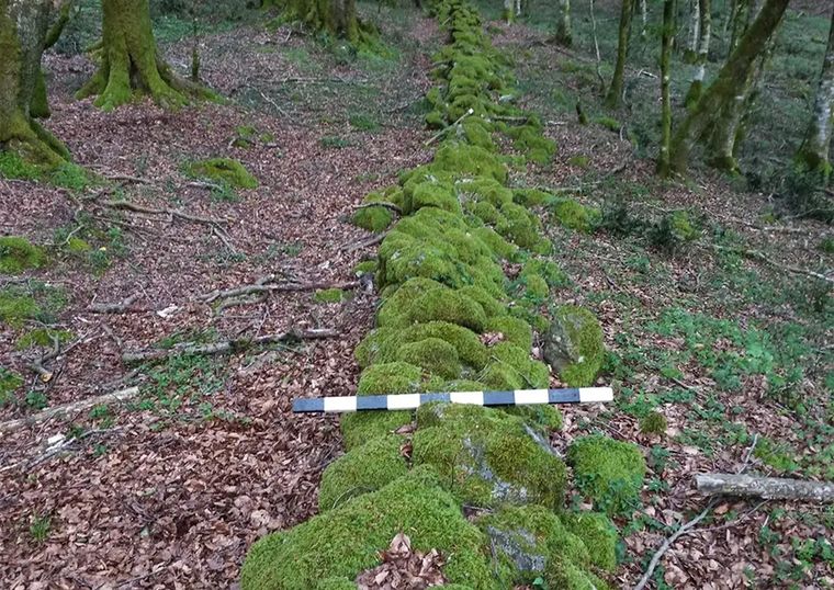 El muro fue divisado por un grupo de ecologistas locales Foto: Instituto de Arqueología de América