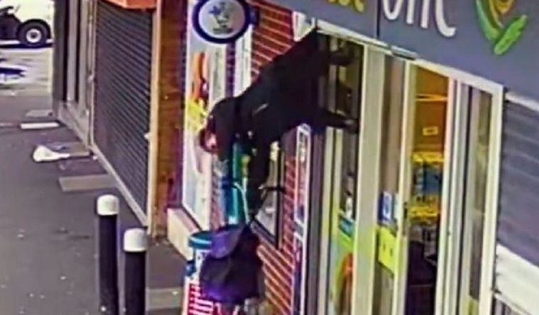 La anciana colgado de la cortina, en esta captura de pantalla del video viral. Foto: Captura de pantalla.