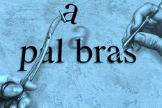 El eufemismo como táctica lingüística busca suavizar el lenguaje, pero aveces termina por distorsionar la idea.