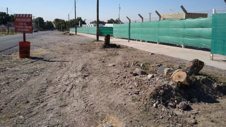 En la zona de la avenida Champagnat (Las Heras) había árboles añosos que aportaban calidad de vida con su sombra, fresco y oxígeno.
