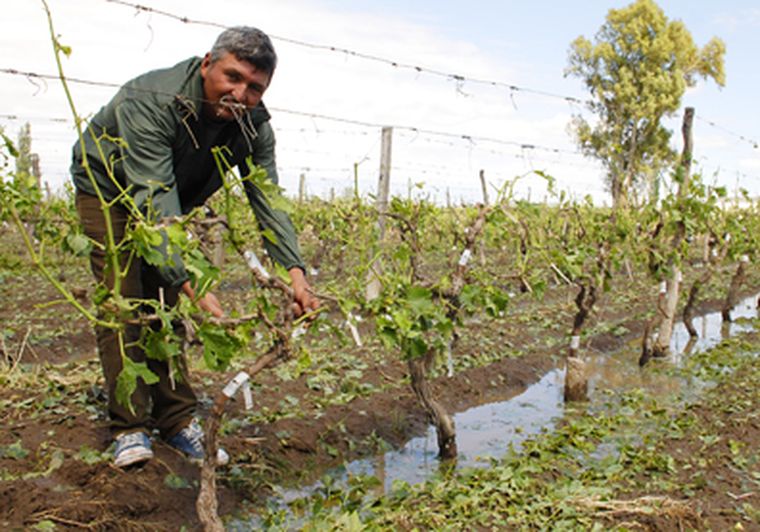 La piedra cayó anoche desde las 23 y hasta las 24. Foto: Gonzalo Bravo / mdz
