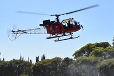 No te pierdas la galería, de fotos, al final de la nota. Foto: Maru Mena / MDZ No te pierdas la galería, de fotos, al final de la nota. Foto: Maru Mena / MDZ