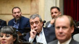 Adolfo Bermejo en el recinto de la Cámara de Diputados. Foto: X @DiputadosAR