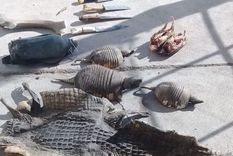 cazadores ilegales cayeron gracias a un video viral... hecho por ellos