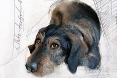 arturo perez-reverte y los hijos de perra