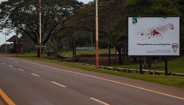 Ambientalistas piden campañas de concientización y más cartelería para reducir un problema que afecta tanto a la fauna como a las personas. Ambientalistas piden campañas de concientización y más cartelería para reducir un problema que afecta tanto a la fauna como a las personas.