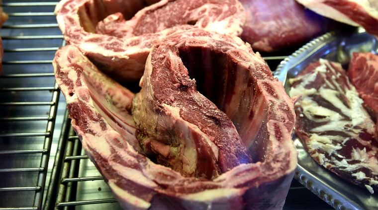 Foto: ALF PONCE MERCADO / MDZ