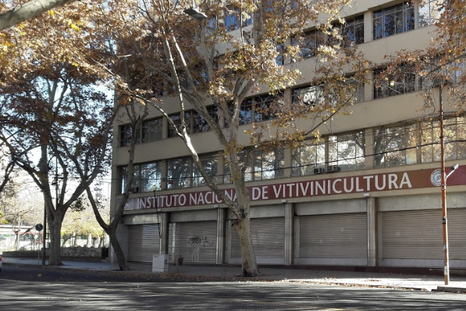 Estos son los datos provisorios de comercialización de vinos