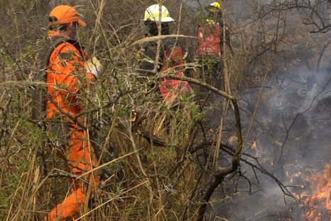 La fiscal Sandra Rojas encabeza la pesquisa para identificar a los responsables de los incendios en Cafayate, Salta, La fiscal Sandra Rojas encabeza la pesquisa para identificar a los responsables de los incendios en Cafayate, Salta,