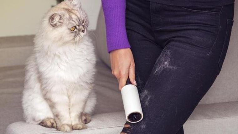 También se reduce el riesgo de alergias, ya que los pelos acumulados pueden atrapar polvo y ácaros. Foto: Archivo