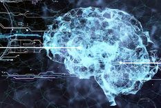 En un pueblo a orillas del lago de Ginebra hay grupos de células cerebrales humanas vivas para alquilar. Del tamaño de un grano de arena éstas pueden recibir señales eléctricas y responder a ellas&nbsp; como lo hacen las computadoras.