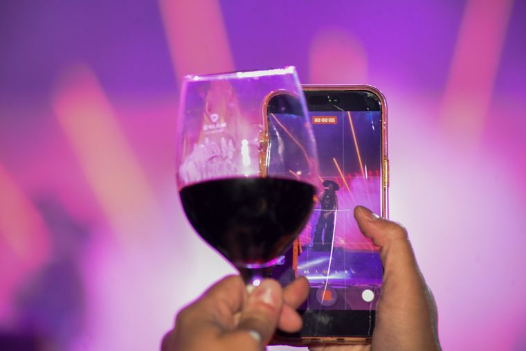 El Malbec es la variedad más cultivada en Argentina: representa casi el 24% de toda la superficie cultivada, esto es unas 47.000 hectáreas. El Malbec es la variedad más cultivada en Argentina: representa casi el 24% de toda la superficie cultivada, esto es unas 47.000 hectáreas.