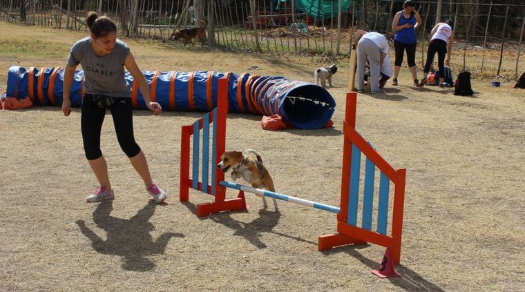 Foto: Agility Aconcagua