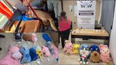 Dentro de los peluches había un total de 2 kilos y 850 gramos de cocaína con destino a Mendoza. Dentro de los peluches había un total de 2 kilos y 850 gramos de cocaína con destino a Mendoza.
