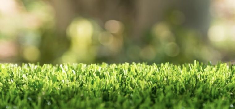 Lograr un césped soñado es posible Foto: Shutterstock