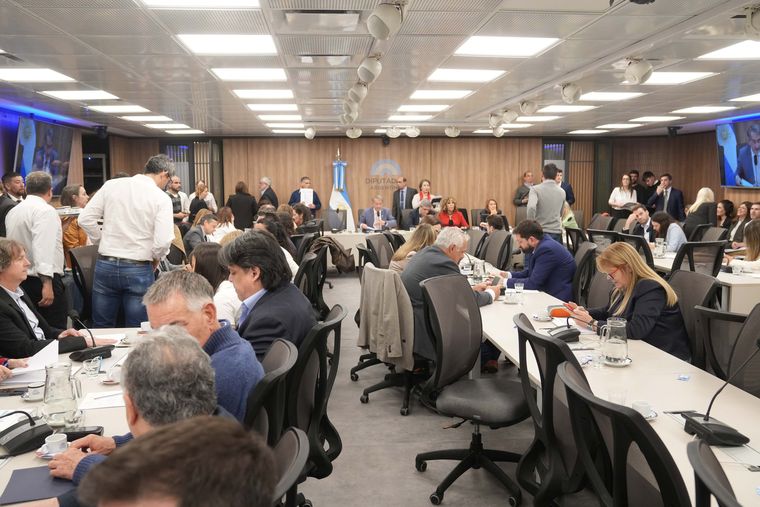 Diputados debatirá la reforma de los DNU.