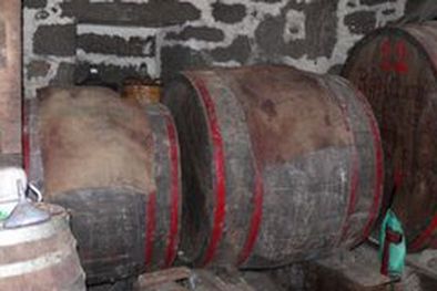 MDZol | El vino casero lavallino tiende a mejorar su calidad y producción. Foto: MDZ