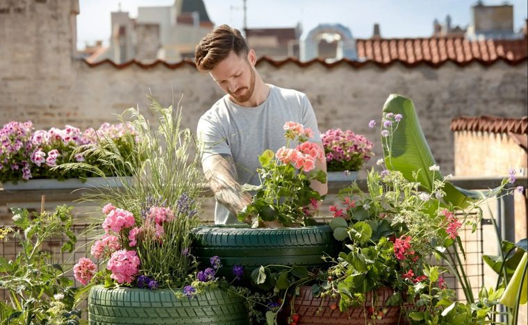 Disfruta de un entorno más verde y saludable. Foto: Archivo